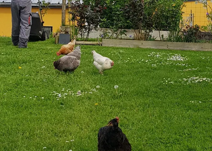 Bed & Breakfast Le Jardin